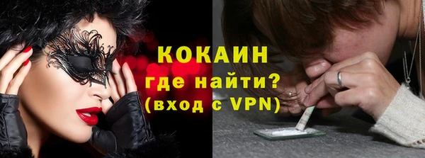стаф Кодинск