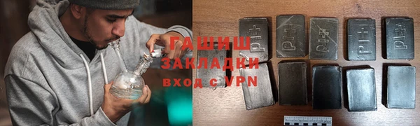 стаф Кодинск