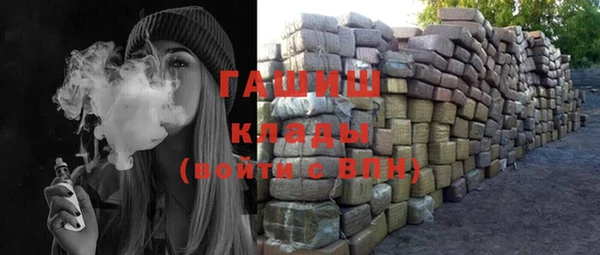стаф Кодинск