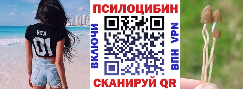 Галлюциногенные грибы прущие грибы  Купить где  Губкинский 